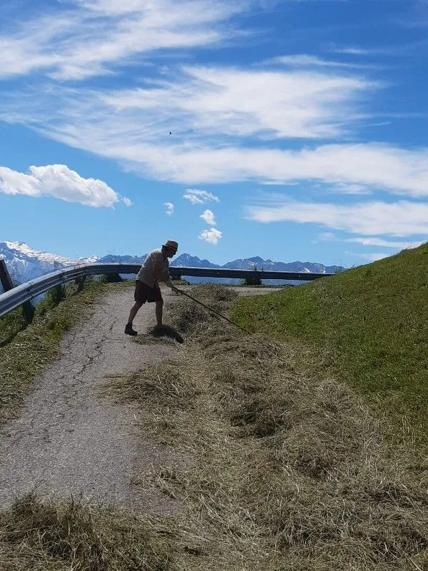 Bei der Heuarbeit